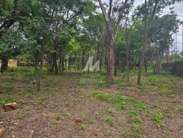 4 - Terreno/Lote