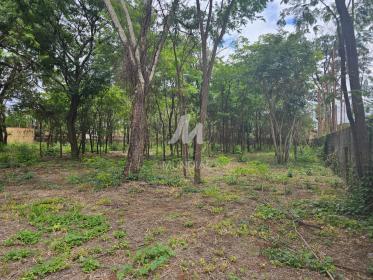 5 - Terreno/Lote