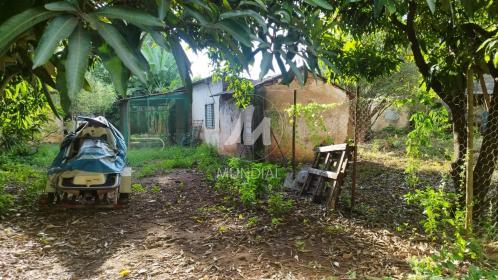 5 - Terreno/Lote