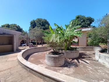 21 - Quintal/corredores