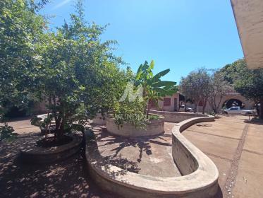22 - Quintal/corredores