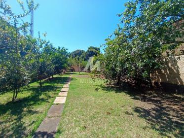 28 - Quintal/corredores