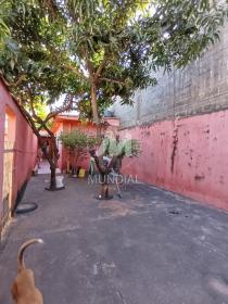 10 - Quintal/corredores
