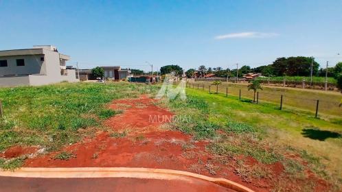 1 - Terreno/Lote