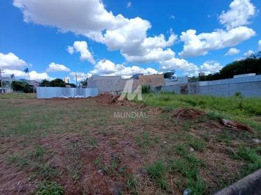 3 - Terreno/Lote