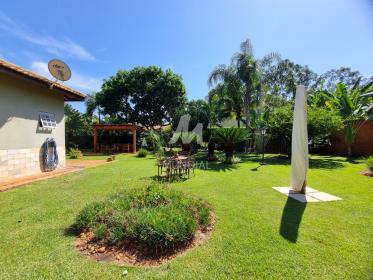 35 - Jardim