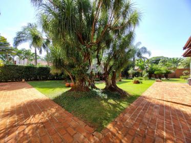 38 - Jardim