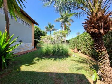 41 - Jardim