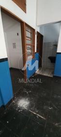 6 - Copa