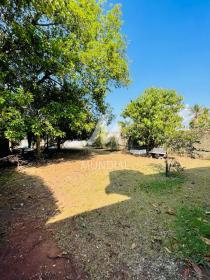 33 - Jardim