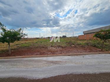 1 - Terreno/Lote