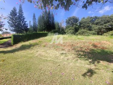 3 - Terreno/Lote