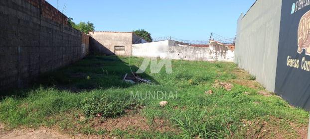 3 - Terreno/Lote