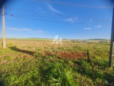 1 - Terreno/Lote