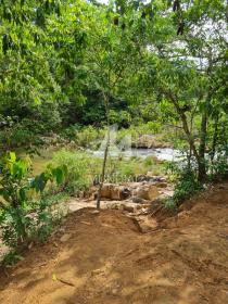 7 - Jardim