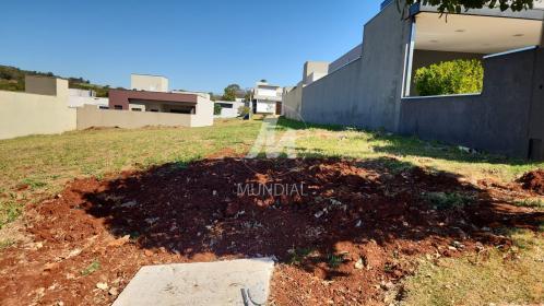 1 - Terreno/Lote
