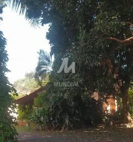 5 - Quintal/corredores