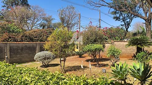 5 - Jardim