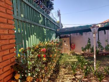 10 - Jardim