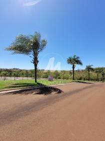 2 - Terreno/Lote