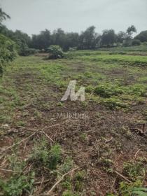 3 - Terreno/Lote