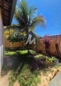 31 - Quintal/corredores
