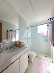 20 - Suite