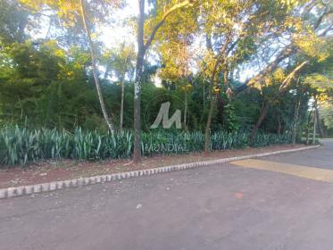 6 - Terreno/Lote