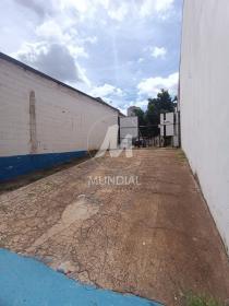 4 - Quintal/corredores