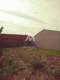 3 - Terreno/Lote