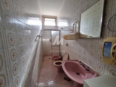 12 - Suite