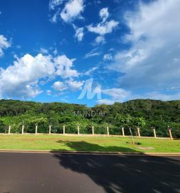 1 - Terreno/Lote