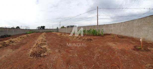 7 - Vista do Imóvel