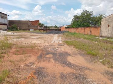 3 - Terreno/Lote
