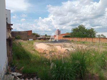 2 - Terreno/Lote