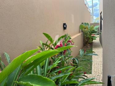 19 - Quintal/corredores