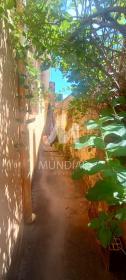 15 - Quintal/corredores
