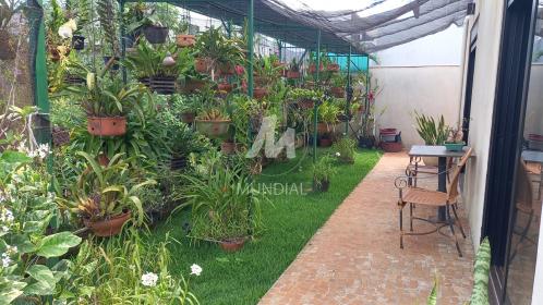 12 - Quintal/corredores