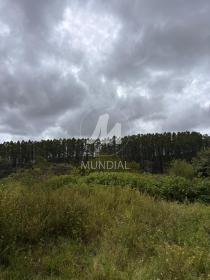 1 - Terreno/Lote