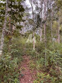 2 - Terreno/Lote