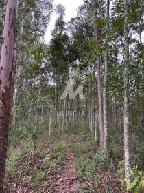 5 - Terreno/Lote