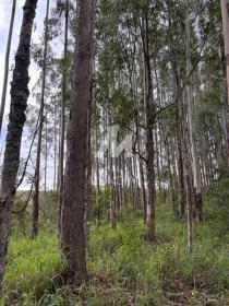 7 - Terreno/Lote