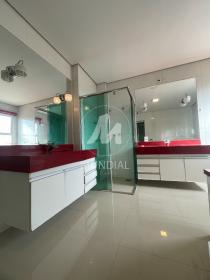 41 - Suite
