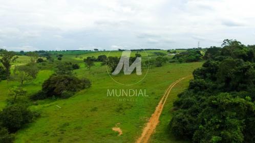 2 - Terreno/Lote