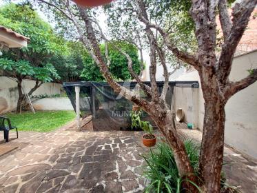 14 - Quintal/corredores