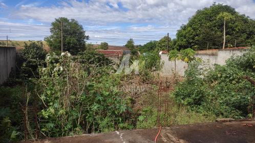 6 - Terreno/Lote