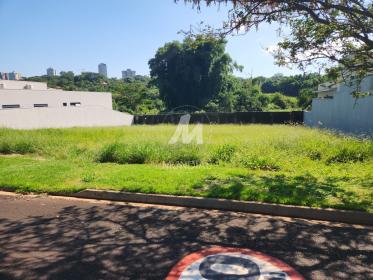 2 - Terreno/Lote
