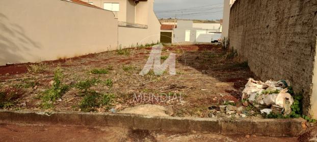 1 - Terreno/Lote