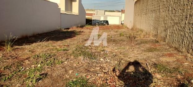 2 - Terreno/Lote
