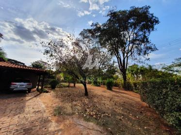 17 - Quintal/corredores
